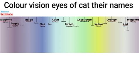 Cat colour vision by RehaanRashid on DeviantArt