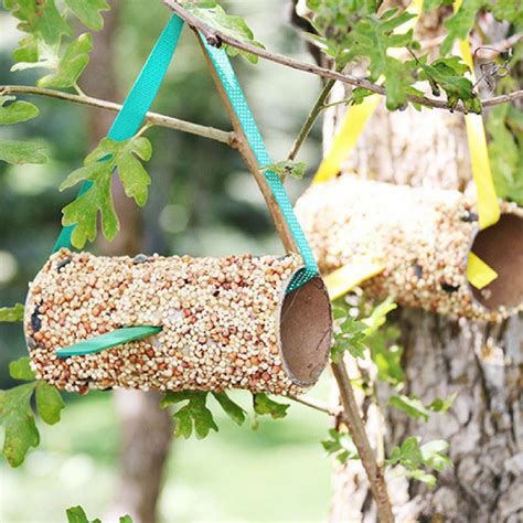 DIY Bird Feeder | Fun365