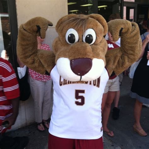 College of Charleston- Go Cougars! Beat Davidson!!! | College of charleston, Mascot, Carolina girl