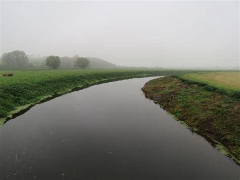 Habitat preferences of the critically endangered European eel - Inside Ecology