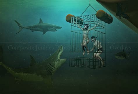 Underwater Digital Backdrop Shark Cage 1 Digital Backdrop Great White Backdrop Digital Backdrops ...