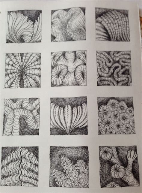 Pin by Julia Wright on Drawing | Natural form art, Natural forms, Patterns in nature