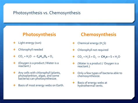 Photosynthesis And Chemosynthesis Venn Diagrams