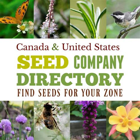 Seed Company Directory | Canada + United States | Empress of Dirt