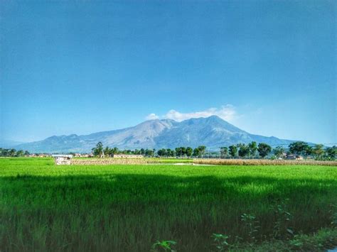 12 Inspirasi Baru Gambar Pemandangan Kota Garut - vrogue.co