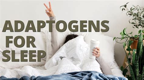 The 3 Best Adaptogens for Sleep Health - YouTube