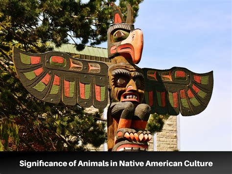 Native American Animal Symbols And Their Meanings