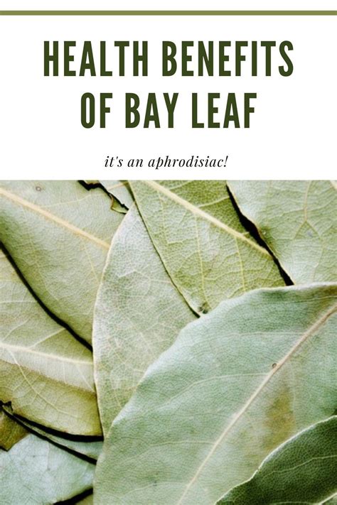 The Aphrodisiac Benefits of Bay Leaf - Eat Something Sexy