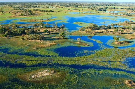 Botswana Travel Guide: Essential Facts and Information