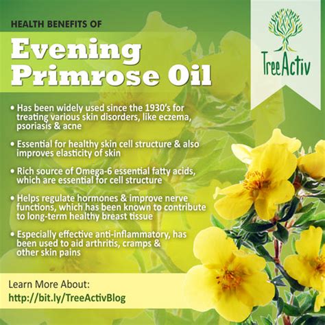 Health Benefits Of Evening Primrose Oil - Skin, Hair, Body – TreeActiv