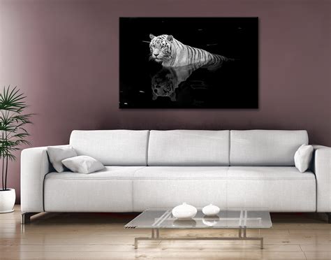 Framed White Tiger Animal Kingdom Art | Canvas Prints Australia