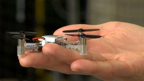 Flying robots: Nature inspires next generation design - BBC News