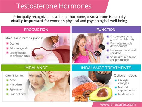 Natural Testosterone Hormones | SheCares