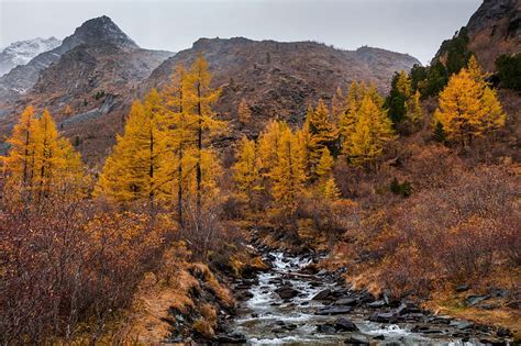 Russia, Altai mountains, nature reserve 'Mount Belukha' Stock ...