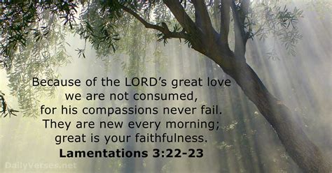 Lamentations 3 22 23 / Bulletin The Lord S Mercies Great Is Thy ...