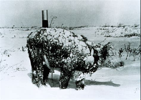 File:Young steer after blizzard - NOAA.jpg - Wikipedia, the free ...