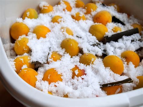 Ume: Japanese Apricot - Japan Food Style