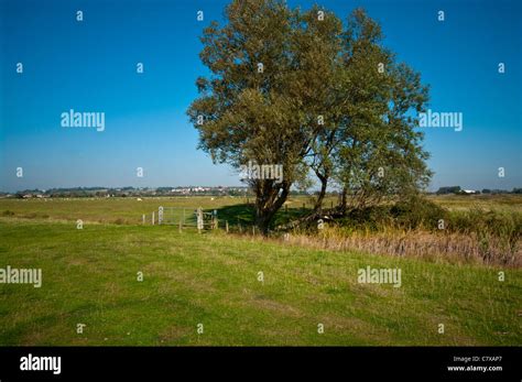 Sussex countryside hi-res stock photography and images - Alamy