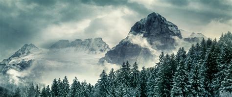 Pine trees Wallpaper 4K, Winter, Forest, Mountains, Peak