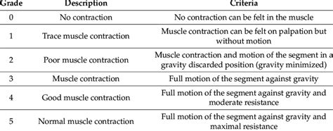 The classical Manual Muscle Testing scoring system. | Download ...