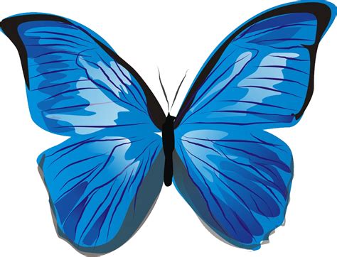 Blue butterfly PNG image transparent image download, size: 1022x781px