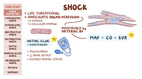 Septic Shock Pathophysiology Flowchart