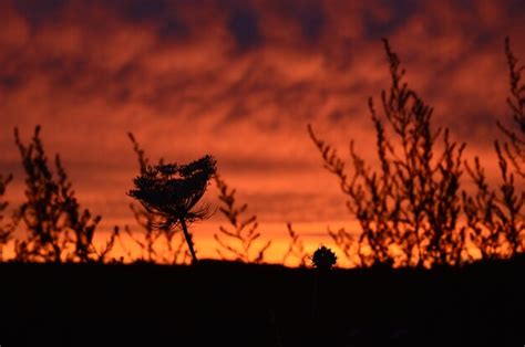 Premium Photo | Silhouette of landscape at sunset