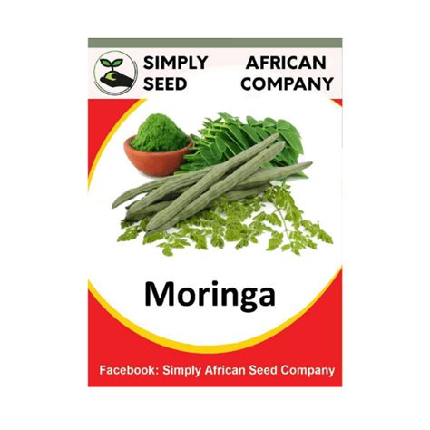 Moringa Tree Seeds – Soulful Herbs & Spices