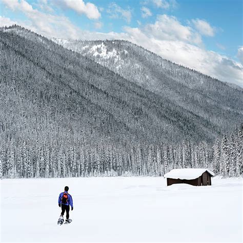 230+ Alaska Cabin Snow Stock Photos, Pictures & Royalty-Free Images ...