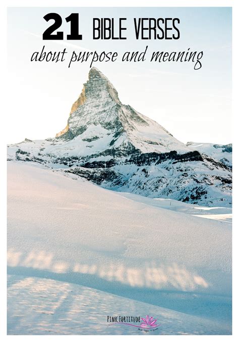 21 Scriptures About Your Purpose in Life - Pink Fortitude, LLC