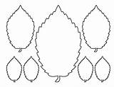 Printable Elm Leaf Template  Flower Crafts sketch template
