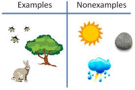 10 Facts about Biotic Factors - Fact File