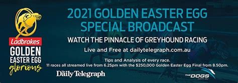 Greyhound racing live stream: Golden Easter Egg winner, Tommy Shelby ...