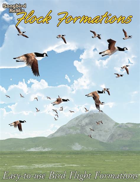 Songbird ReMix Flock Formations - A Ken Gilliland 3D Creation | Flocking, Song bird, Walk out ...
