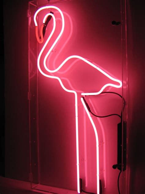 Pink flamingo | Neon, Neon signs, Neon lighting