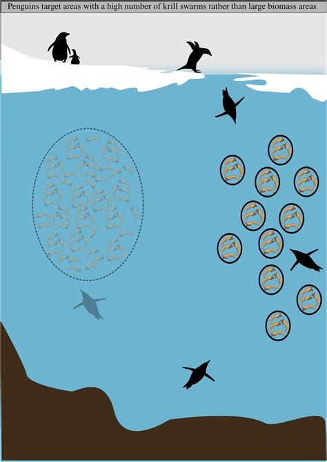 Adelie Penguin Habitat Map