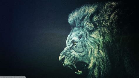 Trippy Lion Wallpapers - Top Free Trippy Lion Backgrounds - WallpaperAccess