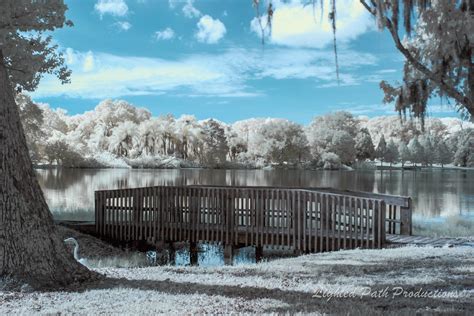 Lake in Apopka, Florida... | Infrared photography, Apopka, Florida