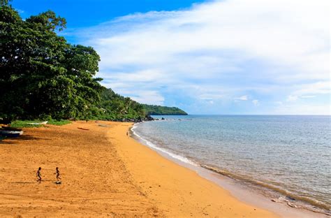 two people are walking on the beach near the water's edge, with trees in the background