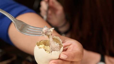 Introducing Balut Eggs, The World's Weirdest Duck Dish