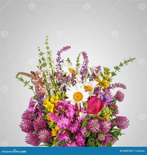 Beautiful Wild Flowers Bouquet. Wildflowers Stock Image - Image of green, blossom: 65837847