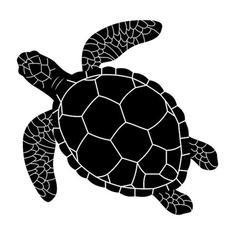 Sea Turtle Outline Clip Art