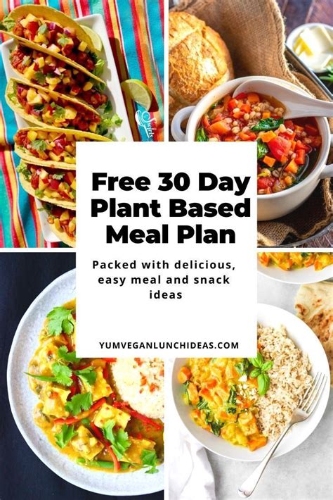 Get Your Free 30 Day Easy Vegan Meal Plan - No Strings Attached ...