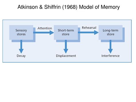 PPT - Memory III Working Memory & Brain PowerPoint Presentation - ID:386691