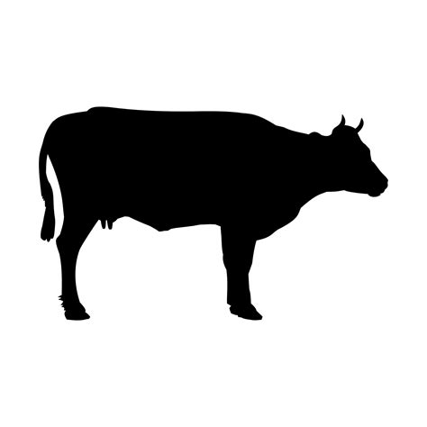 Cow Silhouette SVG Clipart Black White Cow Cricut Digital - Etsy Canada