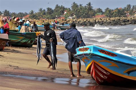 Fish Beach Indian Ocean A Fishing - Free photo on Pixabay