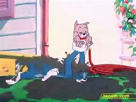 Ons akıntıya karşı çift tom and jerry 060 seninki Tropikal bira