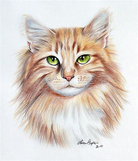 Calico Drawing - Calico Cat by Lena Auxier | Cat art, Cat art print, Animal drawings