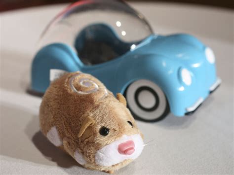 Hamster Toy Has Holiday Shoppers Hot On Its Tail | WBUR News