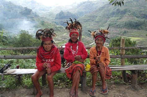 Members of the Ifugao Tribe at the 2000 year old rice terraces of Banaue, Northern Philippines ...